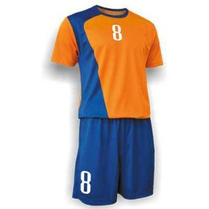 LI-SWHBU10